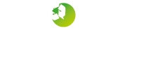 NQ-solutions-wit